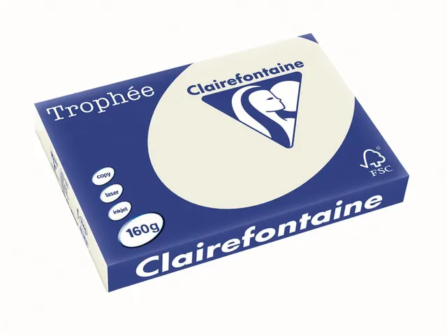 Trophée Pastel gekleurd papier A3 160 gram 250 vel parelgrijs
