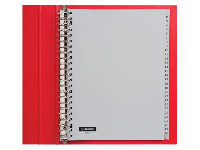 Tabbladen Quantore A4 23-Gaats 1-31 Genummerd Grijs Pp