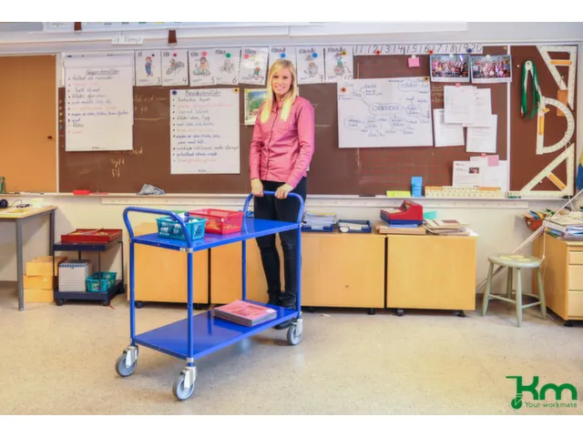 etagewagen,draagverm. 250kg,2etage(s),laadvl. LxB 900x440mm