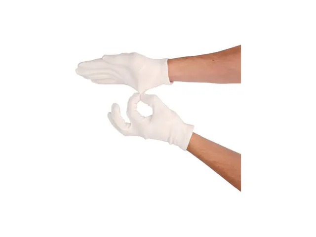Handschoenen Katoen Maat 12 25cm Wit Zware Kwaliteit