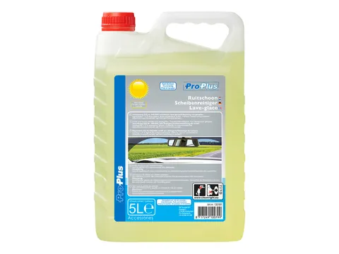 Ruitenvloeistof ProPlus zomer kant en klaar 5 Liter