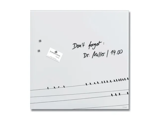 Glasmagneetbord Sigel mat LITTLE BIRDS 48x48cm