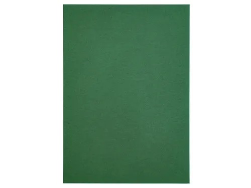 Kopieerpapier Papicolor A4 100gr 12 vel dennengroen