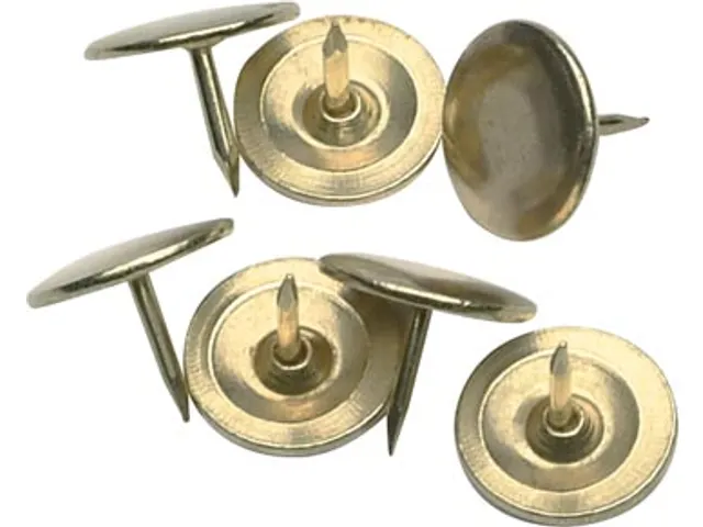 Punaises 120 Stuks Messing