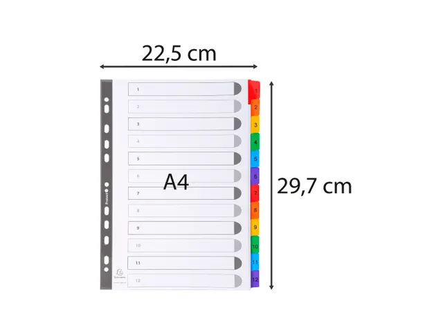 Tabbladen A4 1-12 Karton Versterkte Kleurtabs 11-Gaats Assorti