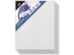 Canvaspaneel 24X30 Cm Set 5 stuks