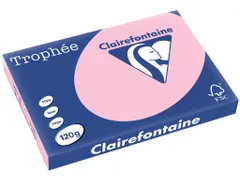 Trophée Pastel papier A3 120 gram 250 vel roze