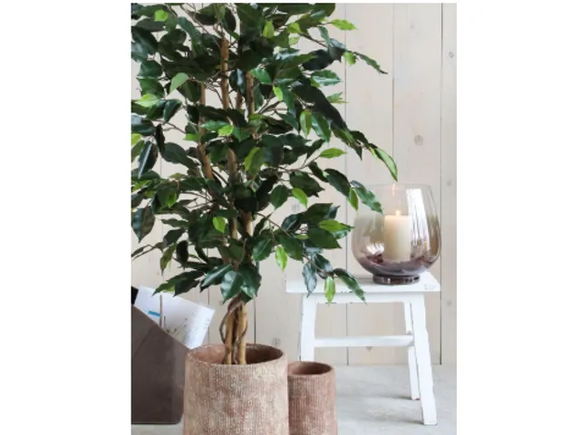 Kunstplant Mica Ficus groen in pot 85x150cm