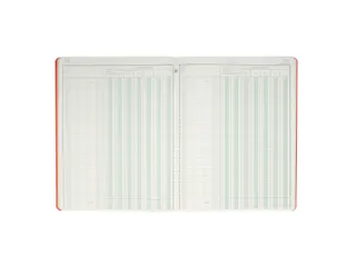 Piqure 32x25 Recette s-Depenses 80 bl - 5