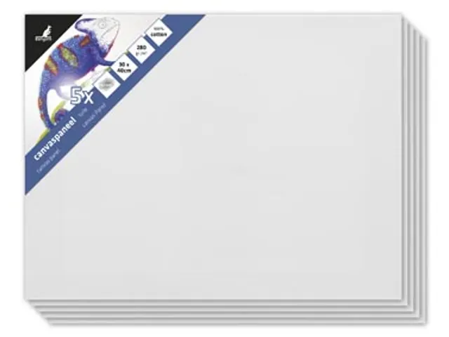 Canvaspaneel 30X40 Cm Set 5 stuks