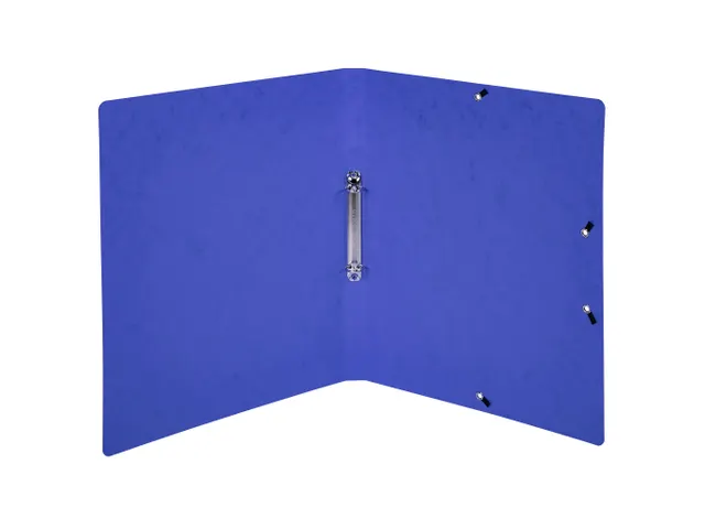 Ringband 2 Ringen 15Mm Bedrukt Glanskarton A4 Blauw