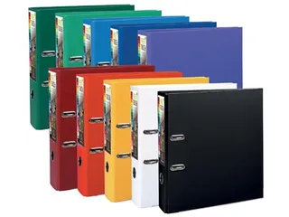 Ordner A4 Pp 80mm Assorti Felle Kleuren - 2