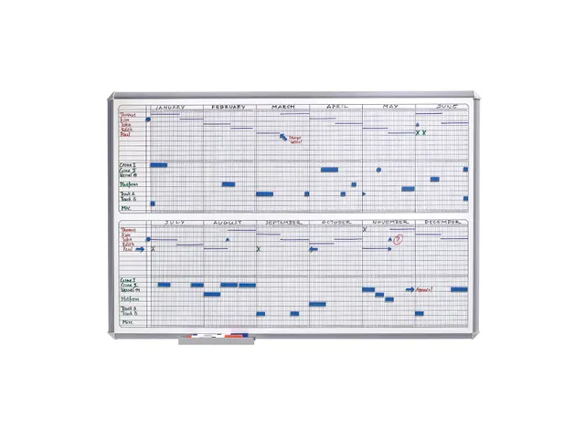 Magnetische 1/2 Jaarplanner 60x90 cm inclusief magnetische symbolen