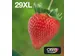 Multipack 4-colours 29XL EasyMail