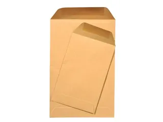 Loonzak Bruin 65x105 Gegomd 70gr - 1