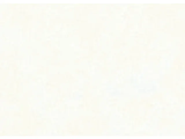 Zijdevloeipapier Folia 50x70cm 20gr nr00 wit 10 vel