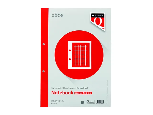 Cursusblok Quantore A4 ruit 4x8 commerciaal met kantlijn