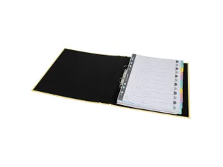Tabblad In Glanskarton 400G/M2 Aquarel 12 Verdelingen A4 Assorti - 4