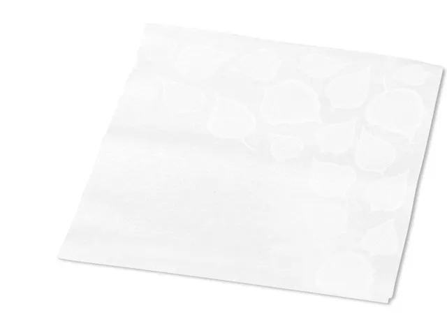 Serviette Tork 13671 Xpressnap Snack Extra douce 2 ép Pli-1/4 Blanc