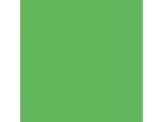 Inapa Tecno colors Gekleurd papier A4 Intens Groen 120 gram 250 vel - 2