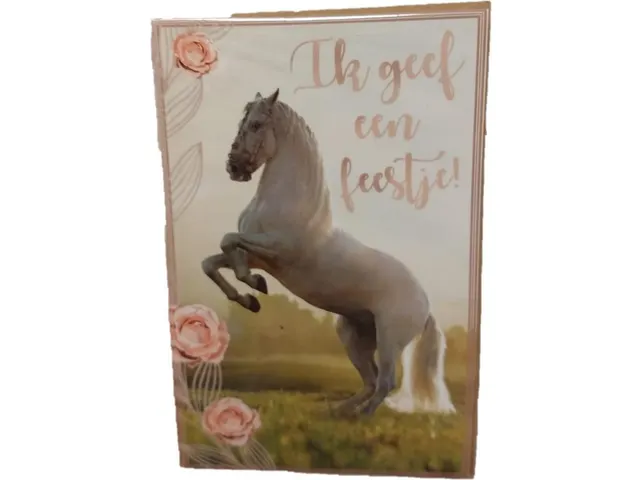 Uitnodiging paarden 17.5x12.2cm