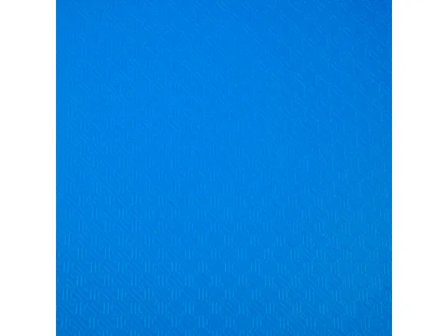 Protège-documents en polypropylène souple OPAK 100 vues - A4 - Bleu