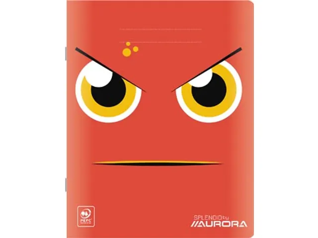 Splendid schrift, 48 bladzijden, ft 165x210mm, geruit 10mm