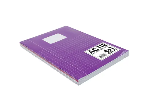 Schrift Verhaaktrend A4 80Blz Ruit 10Mm Assorti