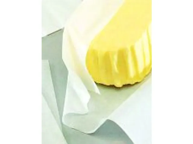 Pergamentpapier Vetdicht 310x425mm 45g/m2 Langlopend