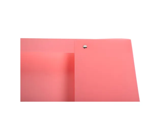 Boite de classement Exabox Dos 25mm Polypropylène 7/10e Chromaline pa
