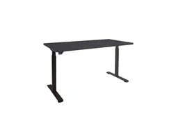 Elektrisch Verstelbaar Bureau 2 Motoren 160x80cm Frame Blad Zwart