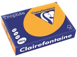 Trophée Pastel gekleurd papier A4 160 gram 250vel Oranje - 1