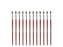 Penseel Kangaro Serie 121 plat Nr. 4 geitenhaar doos 12 stuks