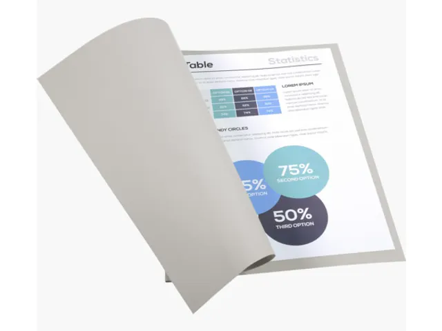 Vouwmap Exacompta Forever A4 170gr grijs