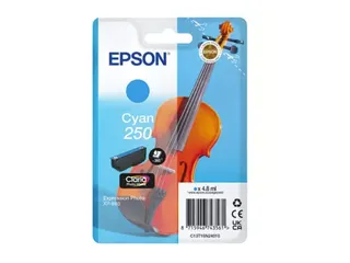 Inktcartridge Epson 250 T16N24 blauw - 1