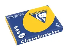 Trophée Intens gekleurd papier A3 160 gram 250vel Zonnebloemgeel