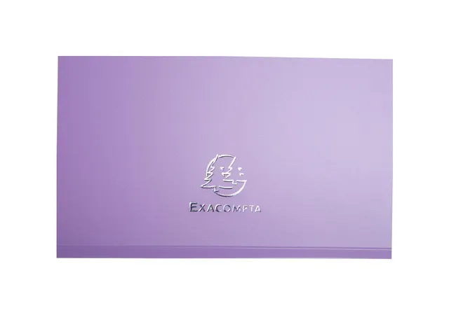 Boite de classement Exabox Dos 25mm Polypropylène 7/10e Chromaline pa