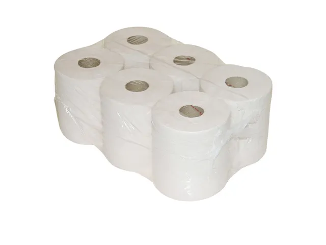 Poetsrol Euro Industrie 2-Laags 24cmx380m 2 rollen 100038