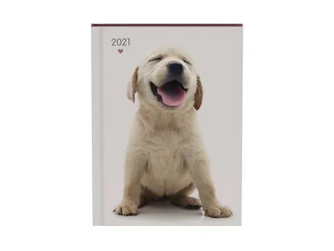 Agenda 2021 my favourite friends dogs