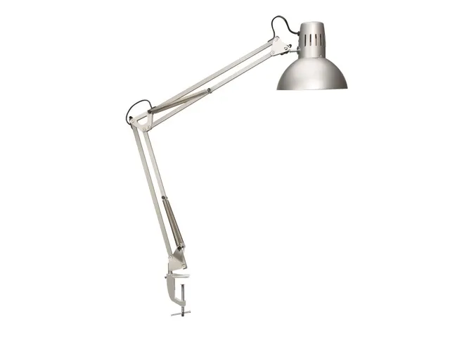 Bureaulamp LED MAULstudy tafelklem incl. E27 lamp Zilver