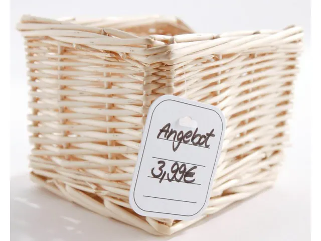 Prijskaart 40x50 mm met gat gelinieerd, doos a 500 stuks