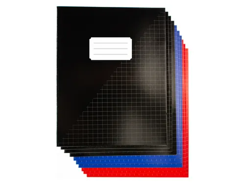 Schrift Kangaro A5 ruit 10mm 80pagina's 60gram 10 stuks assorti