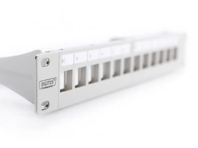 Modulair Patchpaneel 12-poorts Blanco 1U 254mm 10'' Rackmontage Grijs