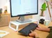 Trust Monta Monitorstandaard Van Gehard Glas Wit