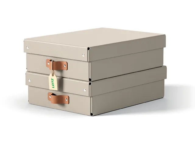 Puro opbergdoos medium laag A4 8 liter beige 2 stuks