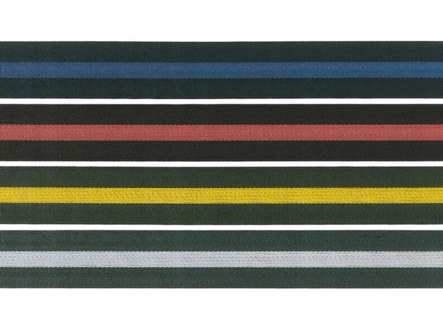 corde de délimitation a. 1sangle(s) Lxl 5m x50mm courroie noir/rouge