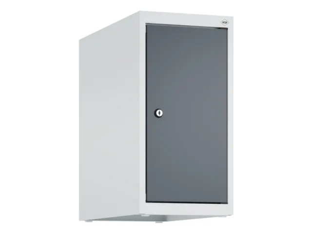 opzetkast,v. locker,1vak.,vak B 250mm,HxBxD 500x250x500mm,vleugeldeur
