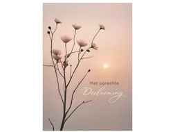 Wenskaart Hallmark condoleance bloemen pak à 6 stuks