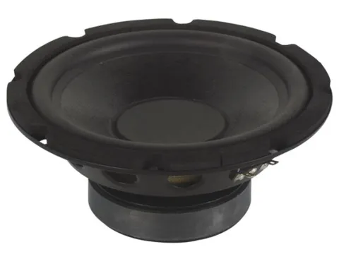 Zwarte Subwoofer Voor Luidspreker 10 Inch 350w
