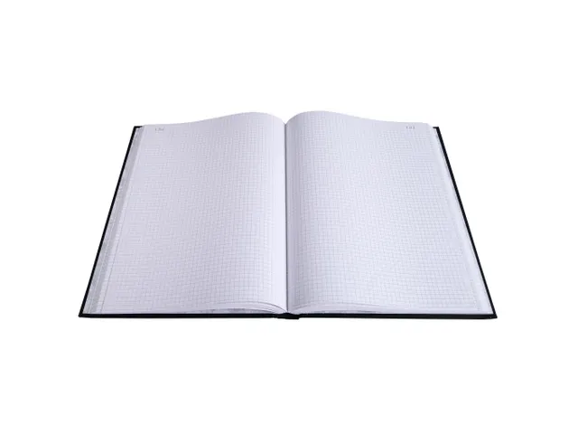 Register 29,7x21 Q5x5 300 bl.